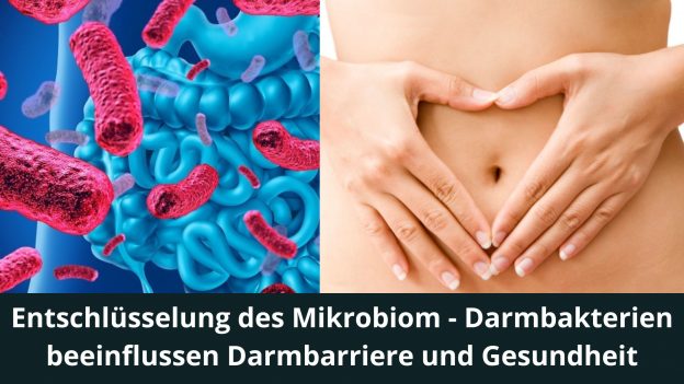 Entschlüsselung des Mikrobiom - Darmbakterien beeinflussen Darmbarriere und Gesundheit
