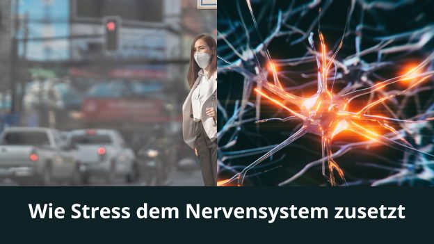 Wie Stress dem Nervensystem zusetzt